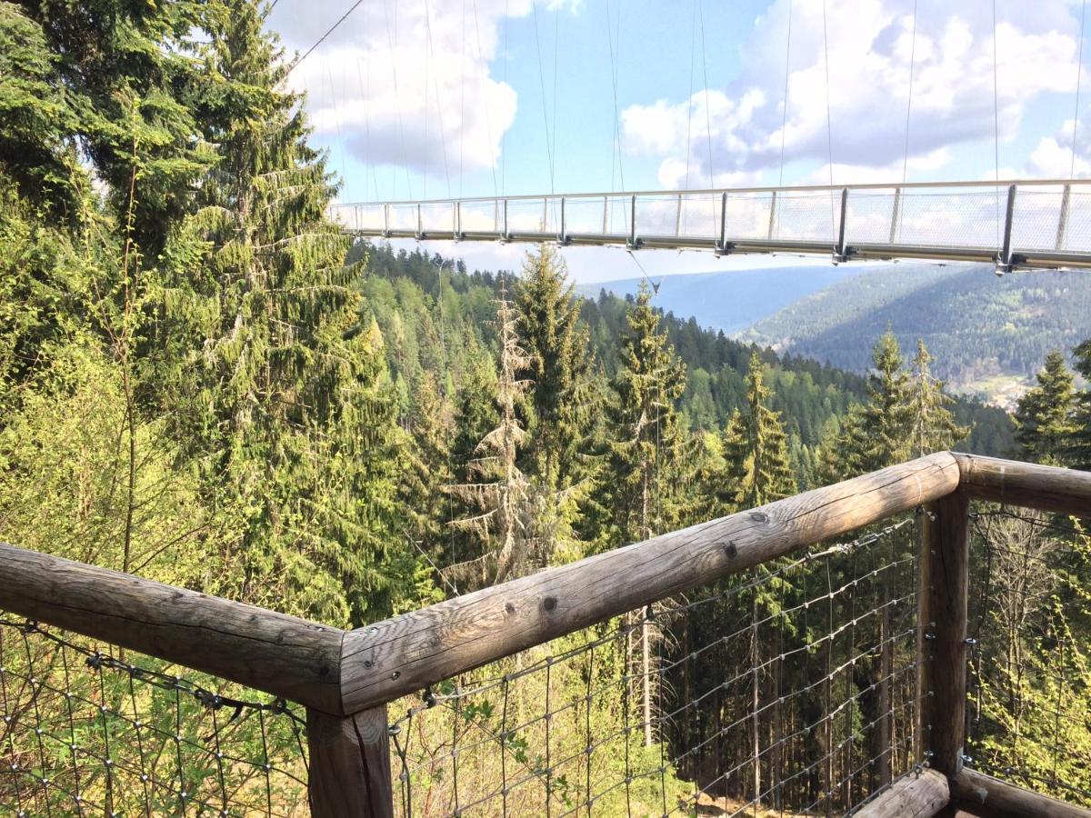 Ferienwohnung Kuckuck Auf Dem Sommerberg Incl Schwarzwaldcard Plus - 2 Zimmer 50Qm Бад-Вильдбад Экстерьер фото